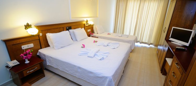 Kara Manzaralı Standart Oda